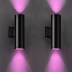 2-Pack Outdoor WiFi Smart Wall Lighting Kit - Dimmable & Adjustable Colors with Remote Control