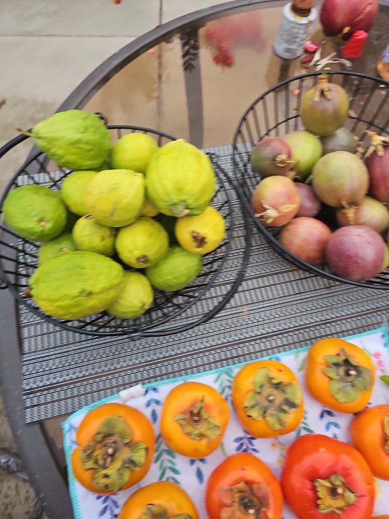 Variety of Fruits Flash Sale