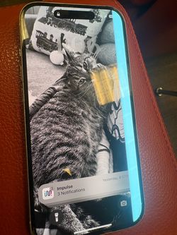 Unlocked iPhone 15 broken front screen