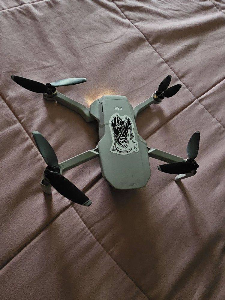 Dji Mavic Mini