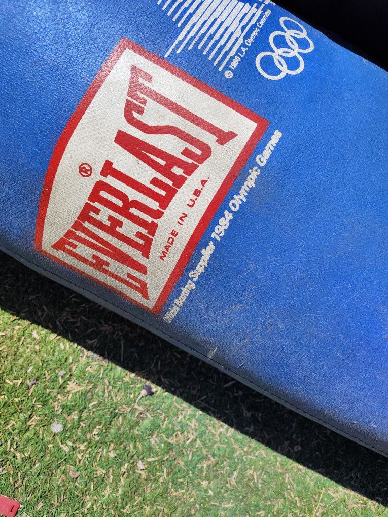 Everlast Punching Bag