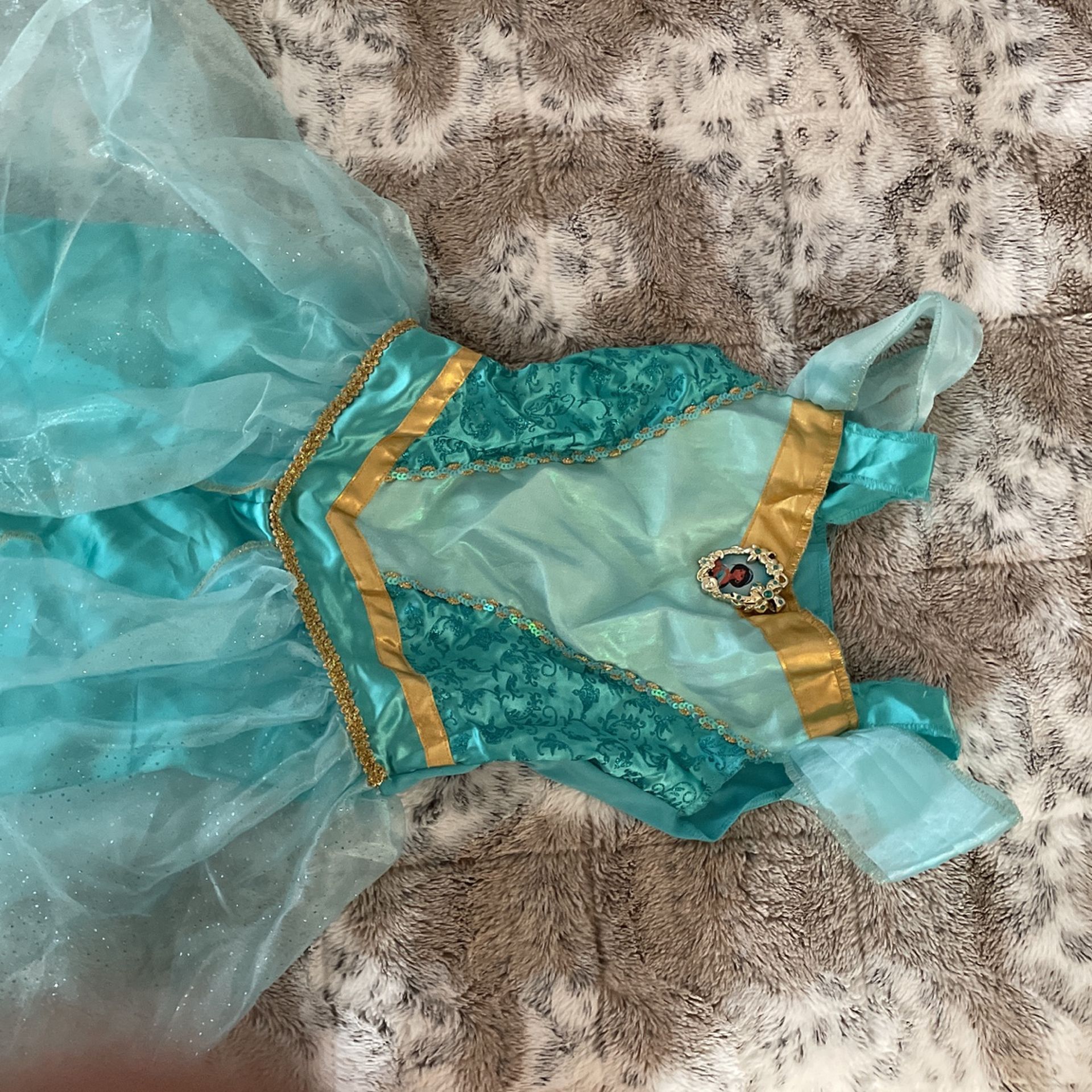 Halloween Costume- Princess Jasmine
