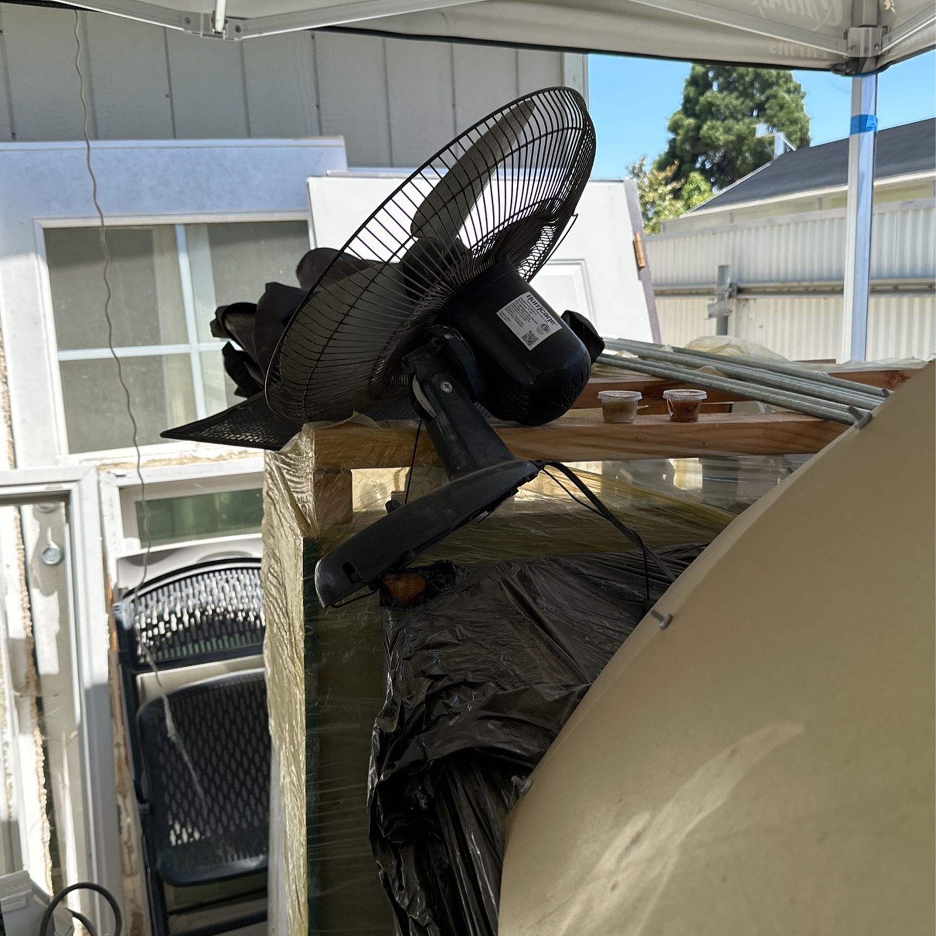 Fan