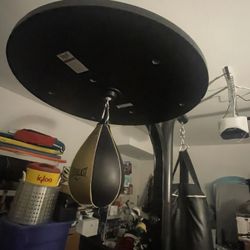 Puching bag and speed bag combo