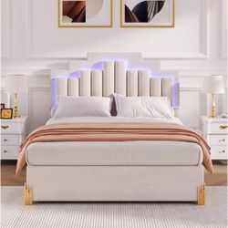 Fairly used Queen Bed 