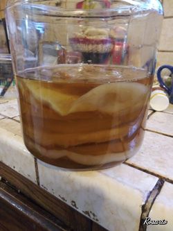 kombucha