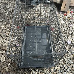 Dog Crate