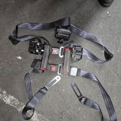 Seat Belt Harness 
