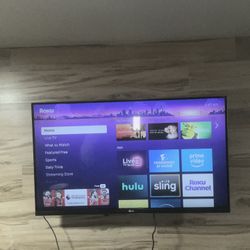 LG TV (with Roku Box) 43”
