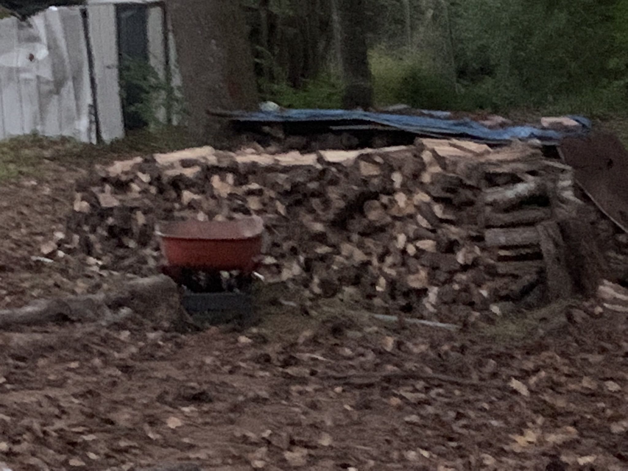 Seasoned firewood