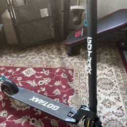 Electric Scooter 