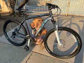 Raleigh Eva 4.0 Mountain Bike