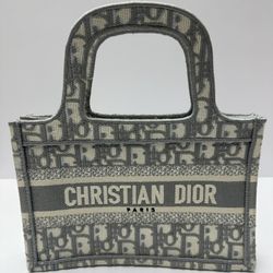 Dior Book Tote Mini Bag 