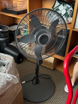 Fan