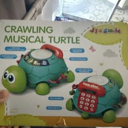 Crawling Musical Turtle 