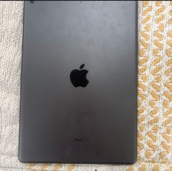 2019 Apple iPad 7th Gen (32GB, Wi-Fi) – Black/Grey – Minor Crack