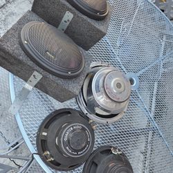 Speaker In Great Working Order 