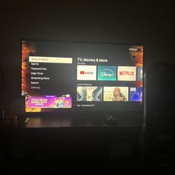 Roku Tv
