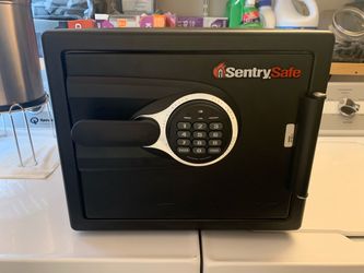 Sentry Safe