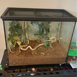 Tank With Lid