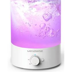 Humidifier 