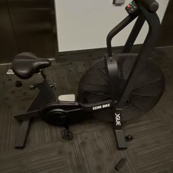 Rogue-Echo Bike-V3.