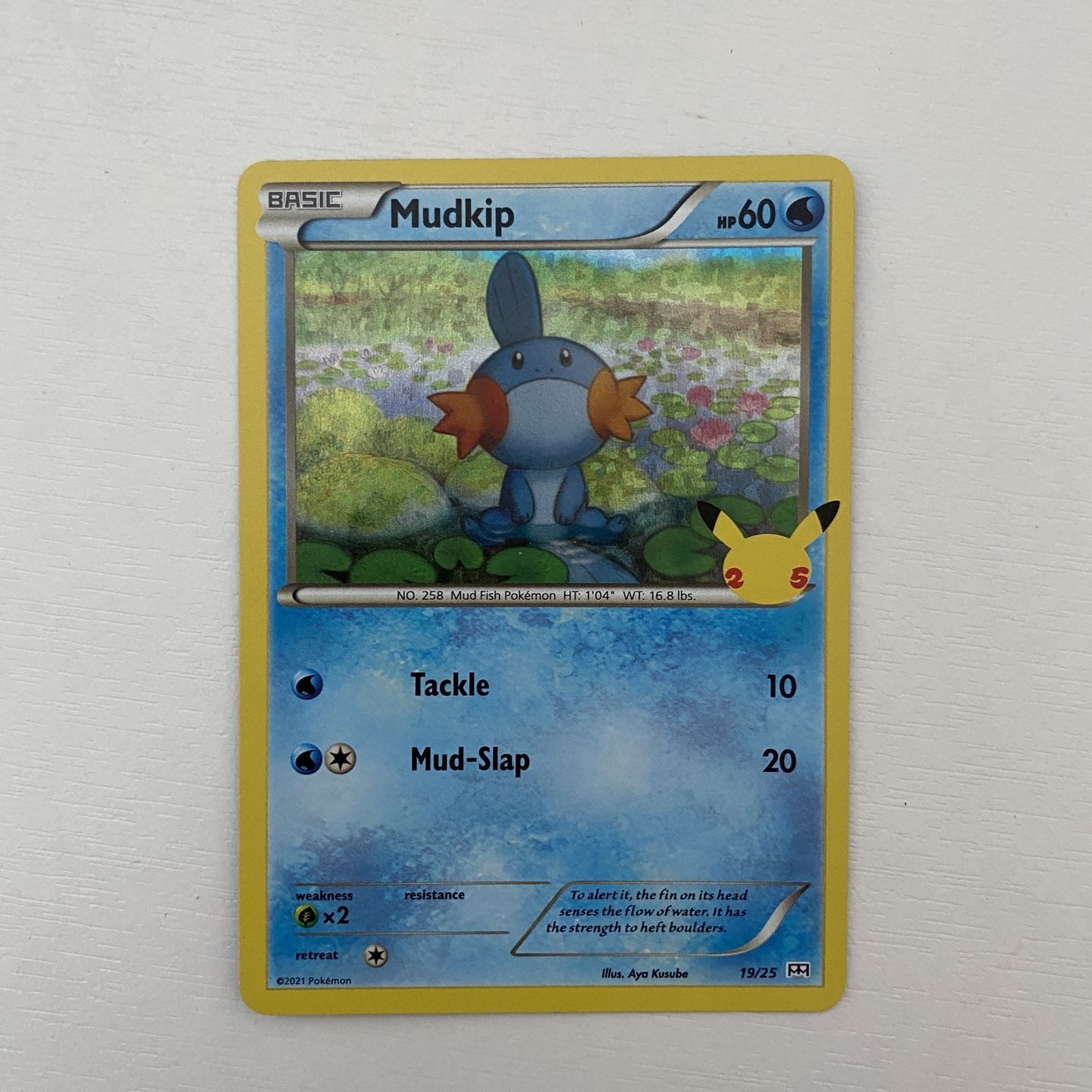 Pokemon Mudkip Holo Card | McDonalds