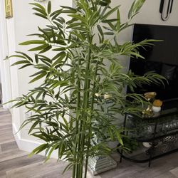 Pretty Artificial Plant Bamboo Tree 6 Ft Tall! Brand New