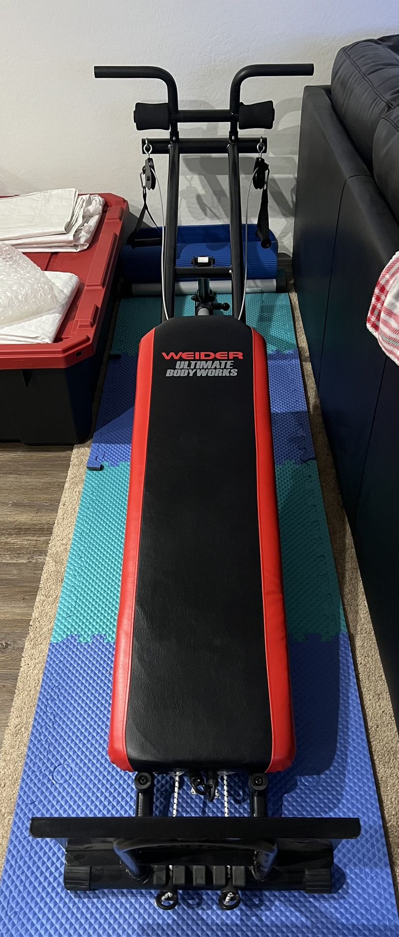 Workout Bench Full-Body