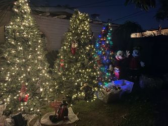 Lighted Artificial Christmas Trees 