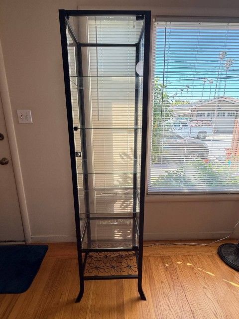 Glass and Metal Shelves