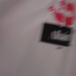 Brand new Allsaints Hoodie 