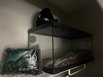 Reptilian enclosure.