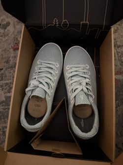 All birds men’s Shoes