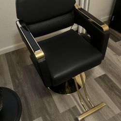Salon Chair