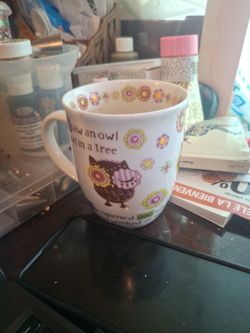 Cute Owl Cup
