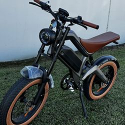Electric Bike 