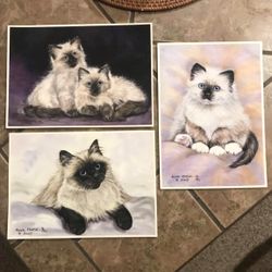 Himalayan/Ragdoll Kittens by Artist Anne Marsh original watercolor giclee prints on canvas