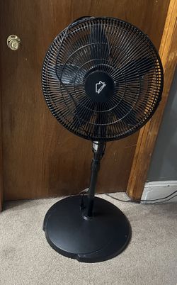 Fan (Oscillating)