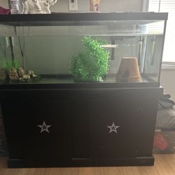 75 Gallon Fish Tank 