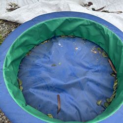 Ball Pit Or Small Pool