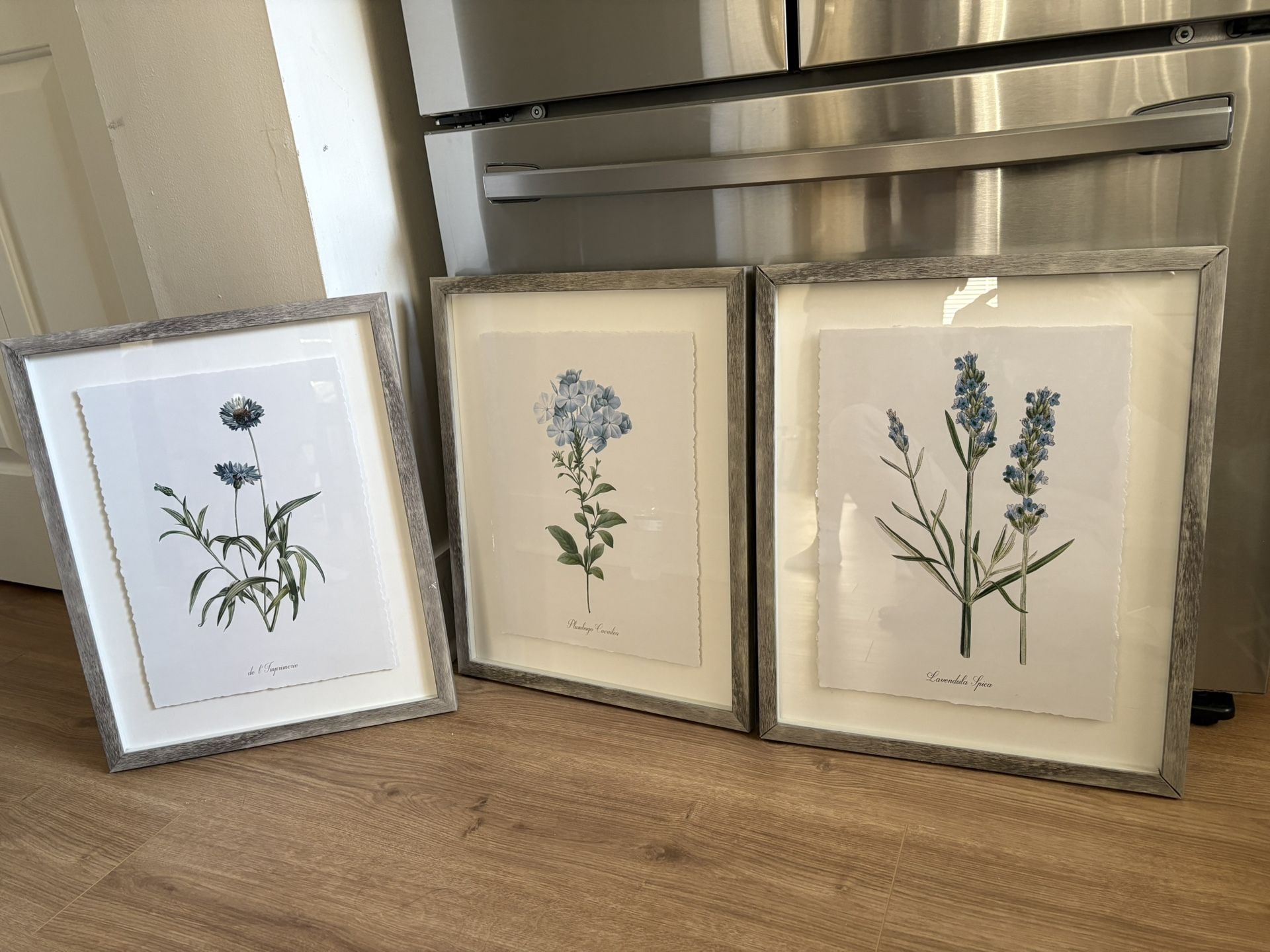 (set Of 3 ) 16”x 20” Vintage Framed Botanical Decorative Wall Art .$30 For 3 Of Them .