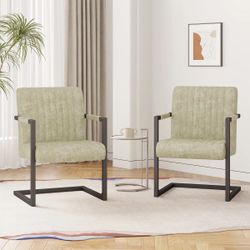 Modern Leather Dining Chairs Set Of 2  Beige