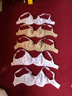 5 brassieres