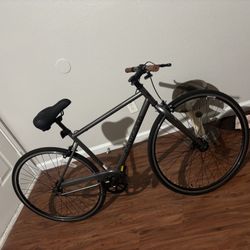 Concord Bike 