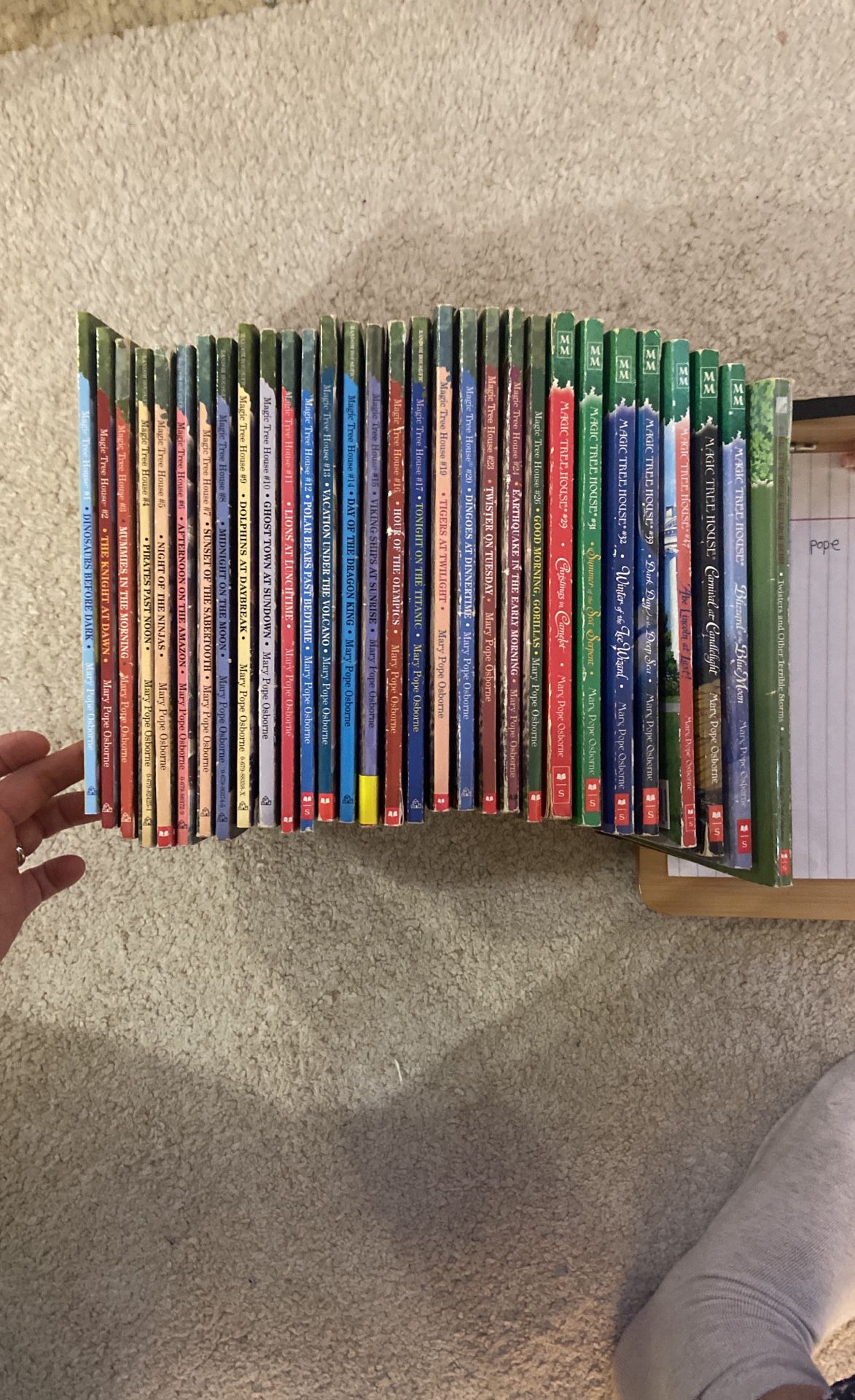 Magic Tree House 31 Books