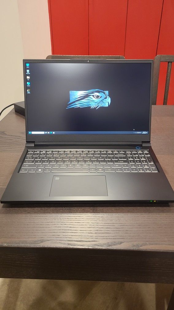 Falcon TLX Gaming Laptop