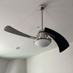 Ceiling Fans
