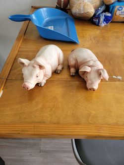 Porcelain vintage pig figurines