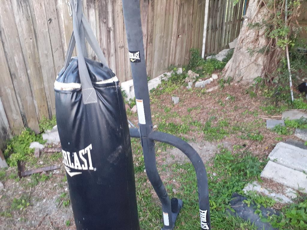 Everlast Punching Bag And Post